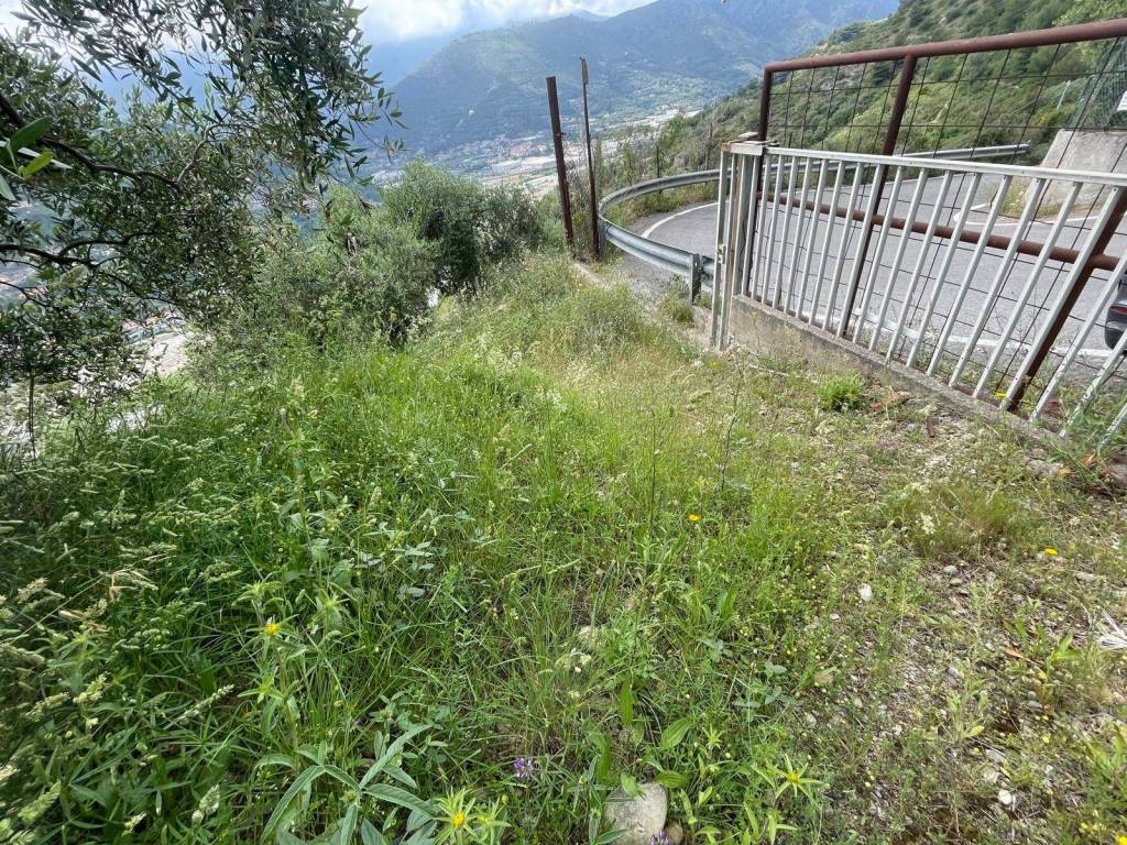 Terreno a Camporosso in Strada Ciaixe - Foto 4