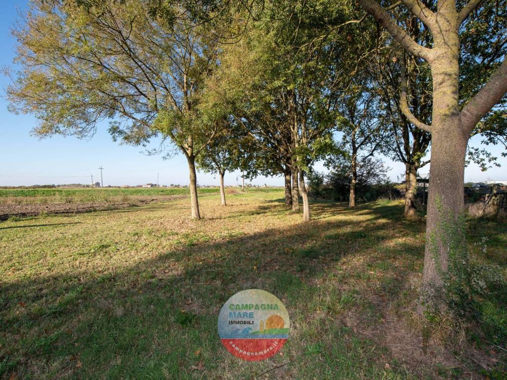 Rustico / casale a Mesola in Via Riccardo Roma - Foto 5