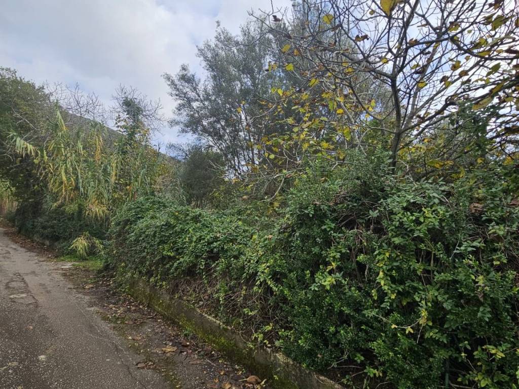 Terreno a Camigliano in Via Rotoli, 8 - Foto 2