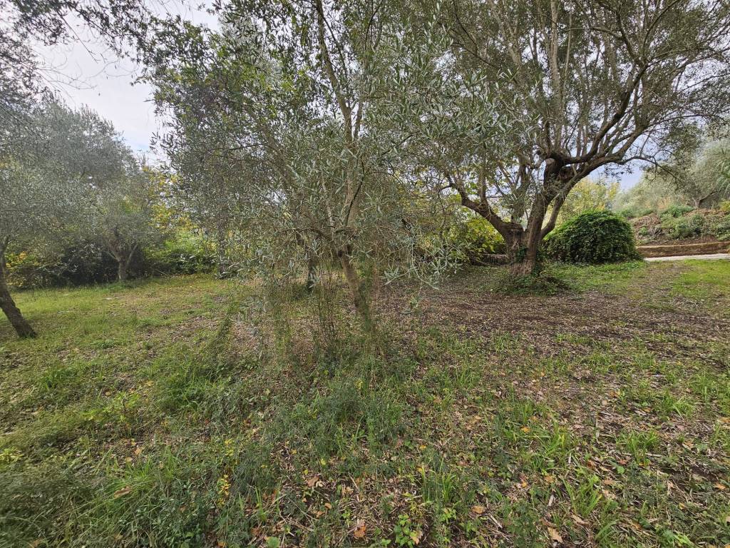 Terreno a Camigliano in Via Rotoli, 8 - Foto 5