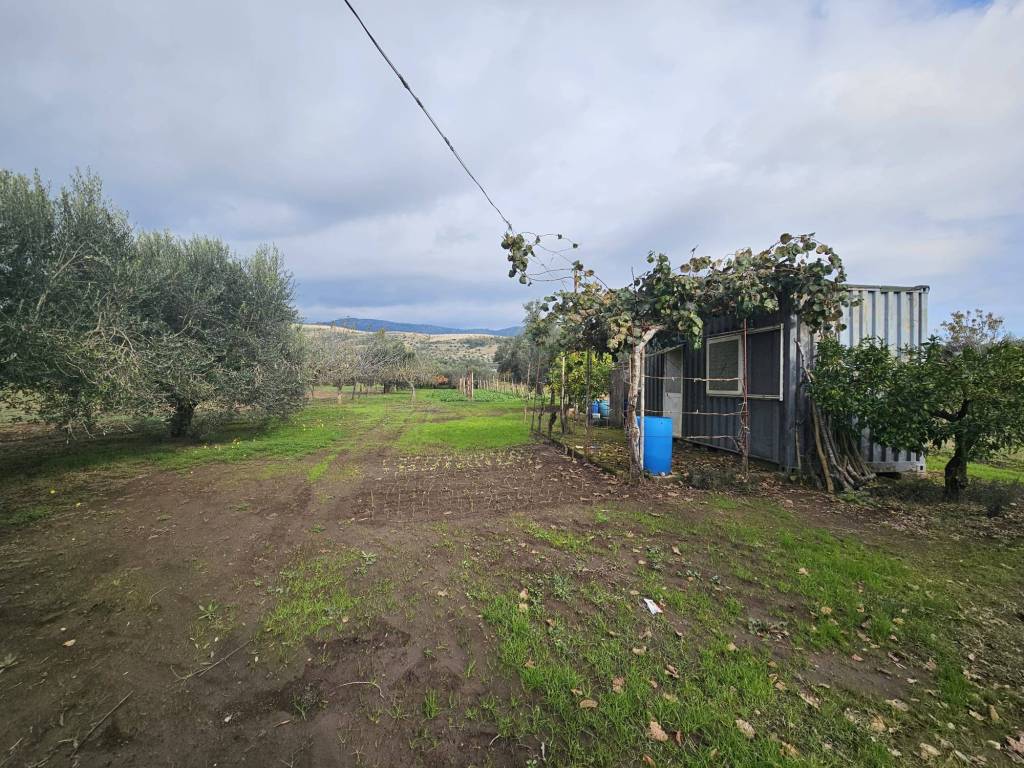 Terreno a Pastorano in Via Latina - Foto 2