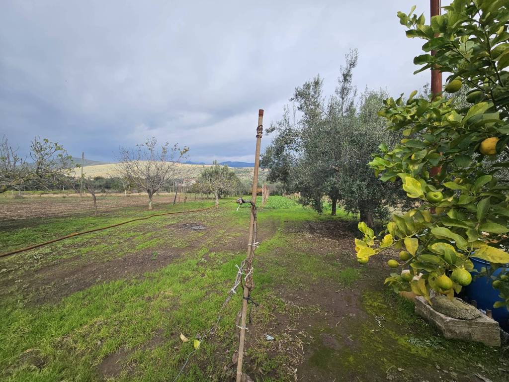 Terreno a Pastorano in Via Latina - Foto 3