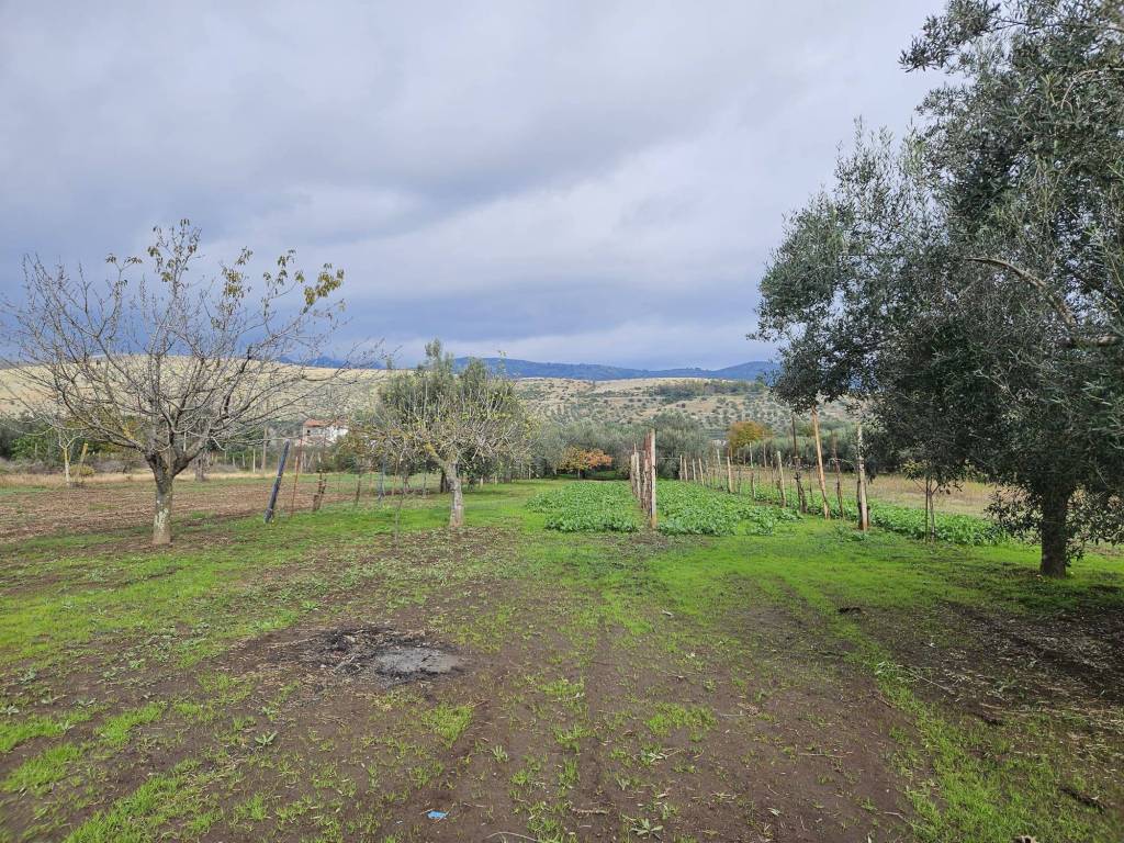 Terreno a Pastorano in Via Latina - Foto 4
