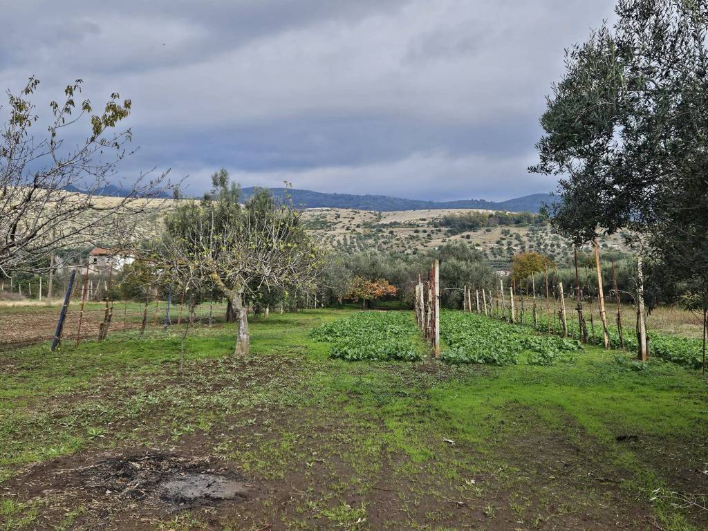 Terreno a Pastorano in Via Latina - Foto 5