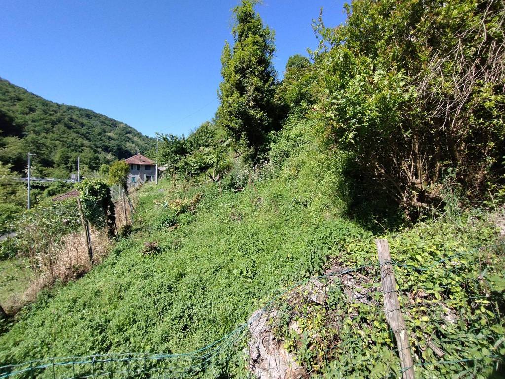Casa indipendente a Serra riccò - Foto 4