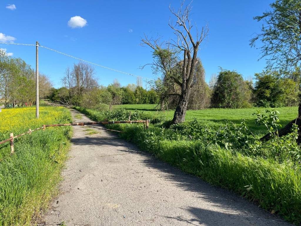 Terreno a Bologna in Via del Tuscolano - Foto 4
