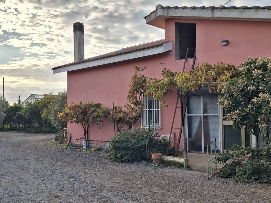 Rustico / casale a Decimomannu in Strada Comunale Su Cardu - Foto 2