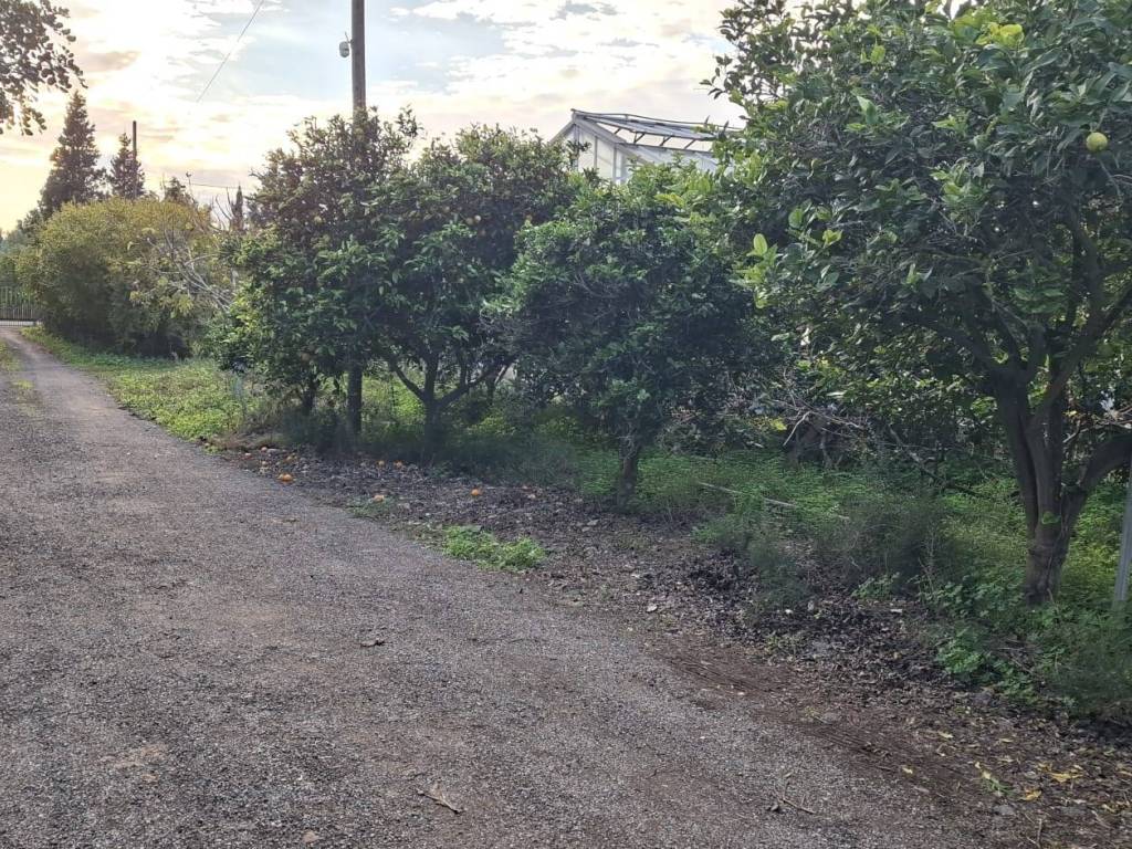 Rustico / casale a Decimomannu in Strada Comunale Su Cardu - Foto 3