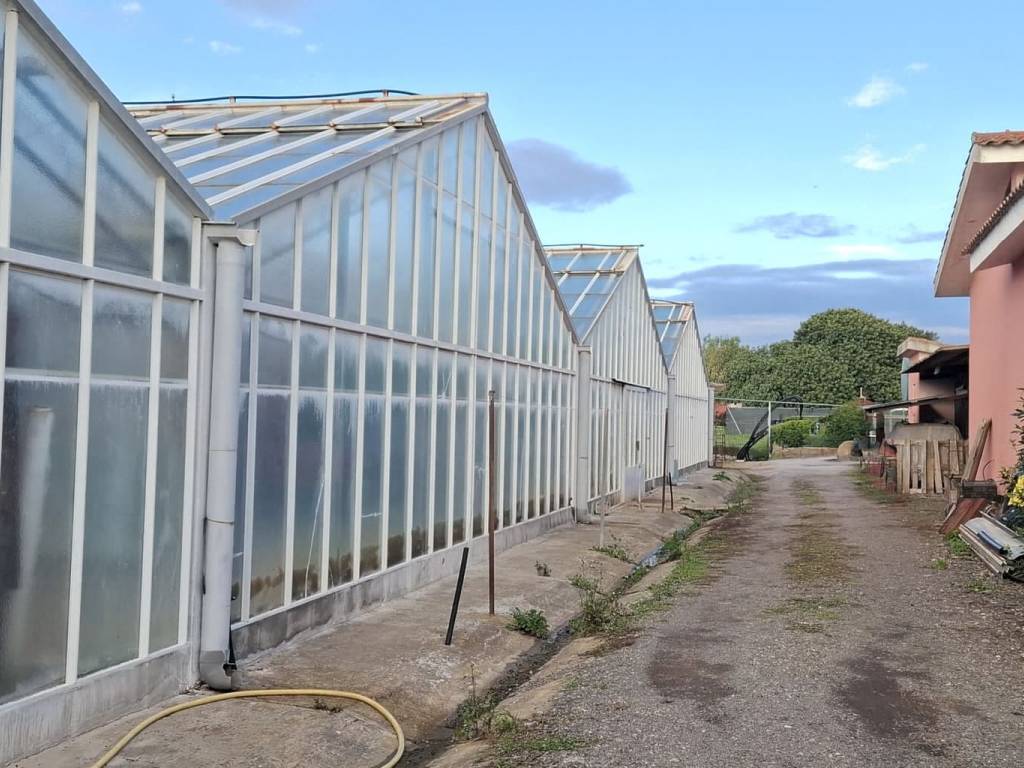 Rustico / casale a Decimomannu in Strada Comunale Su Cardu - Foto 4