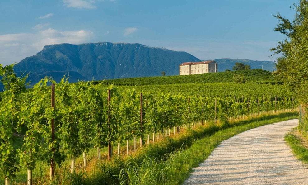 Terreno a Colle umberto in Via John Fitzgerald Kennedy, 5 - Foto 3