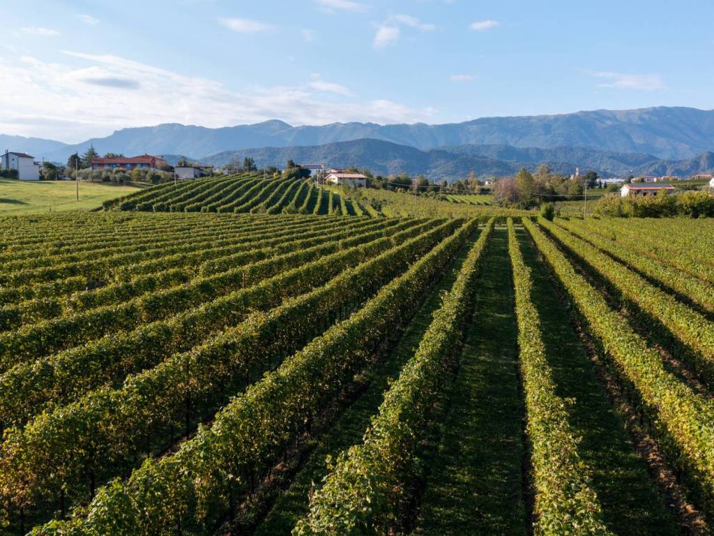 Terreno a Colle umberto in Via John Fitzgerald Kennedy, 5 - Foto 5