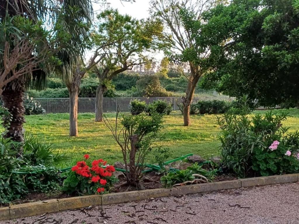 Rustico / casale a Capalbio - Foto 3