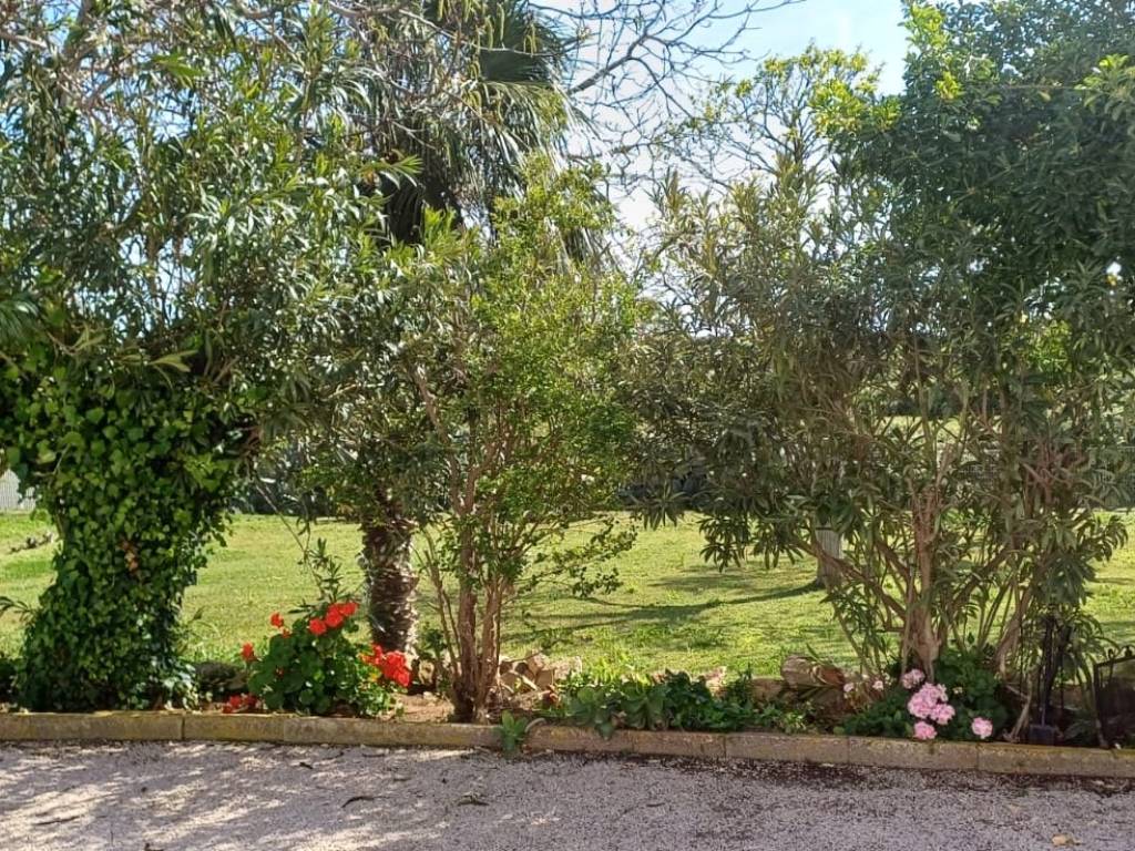 Rustico / casale a Capalbio - Foto 4