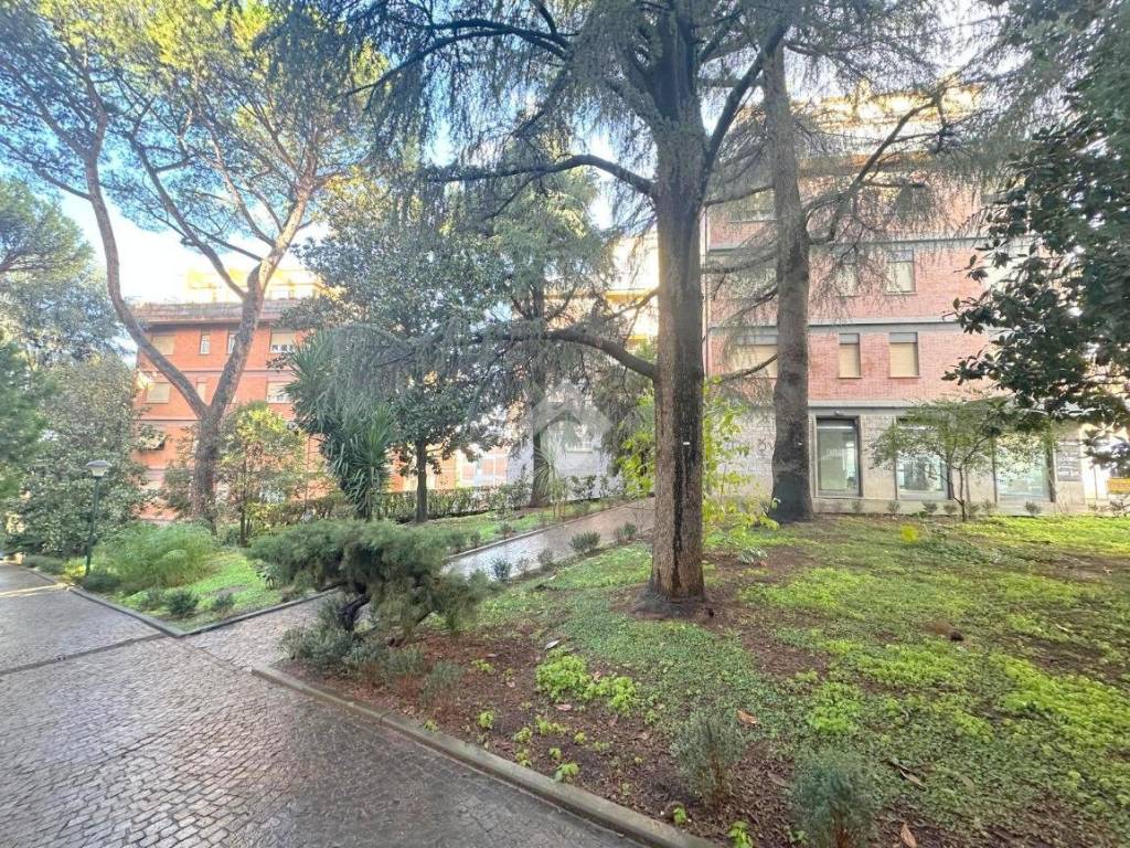 Attico / mansarda a Velletri in Viale Guglielmo Oberdan - Foto 2