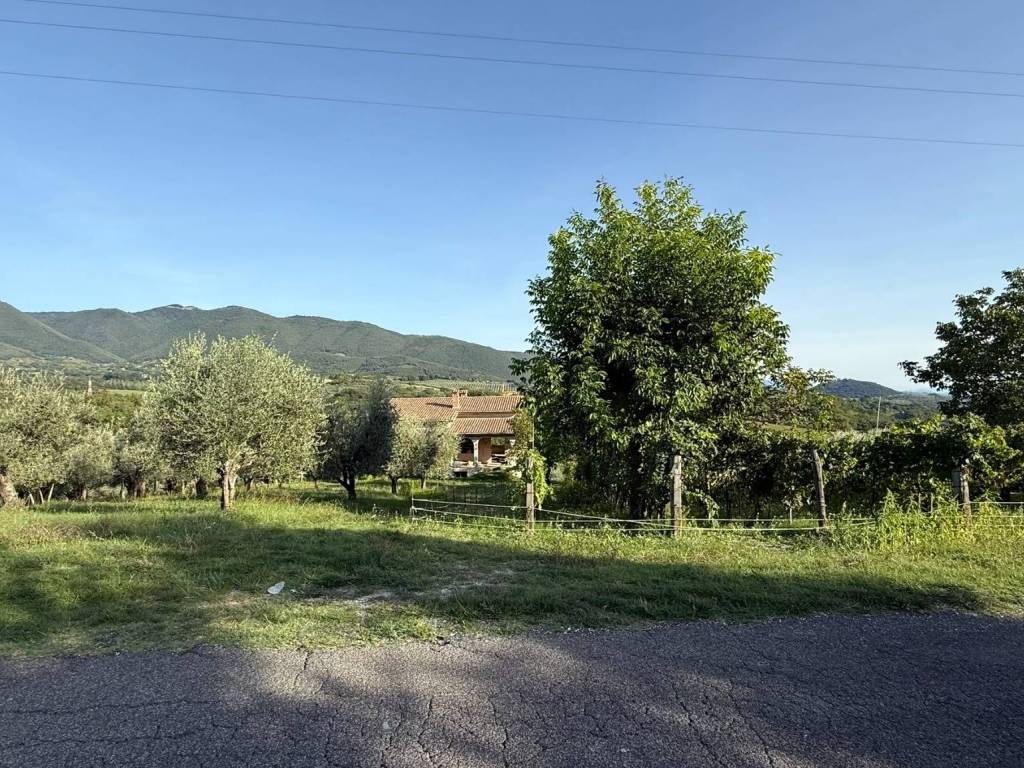 Rustico / casale a Torri in sabina in Vocabolo San Martino - Foto 2