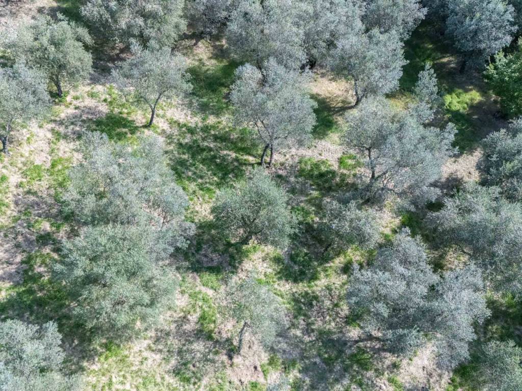 Terreno a Poggio nativo in Via Mirtense - Foto 4