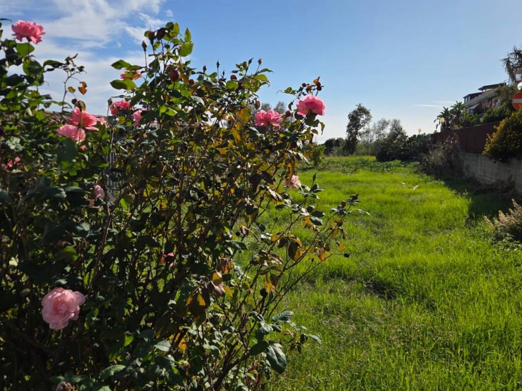 Terreno a Acireale in Viale della Fiera Franca, 23 - Foto 5