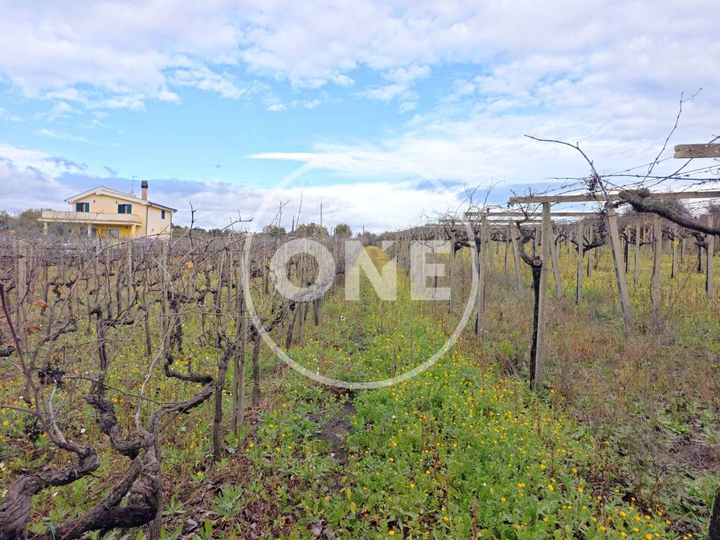 Terreno a Lanuvio in Via delle Sughere, 1 - Foto 3