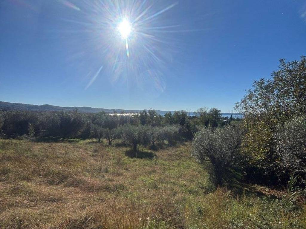 Terreno a Bolsena in Via della Pace - Foto 2
