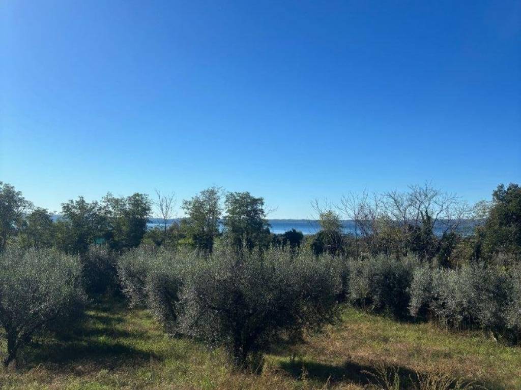 Terreno a Bolsena in Via della Pace - Foto 3