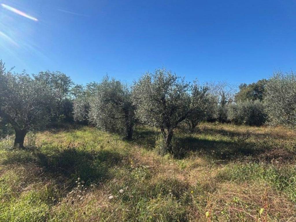 Terreno a Bolsena in Via della Pace - Foto 4