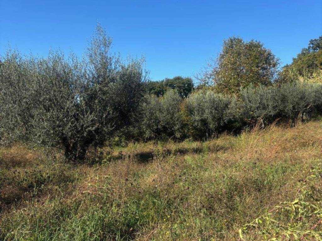 Terreno a Bolsena in Via della Pace - Foto 5