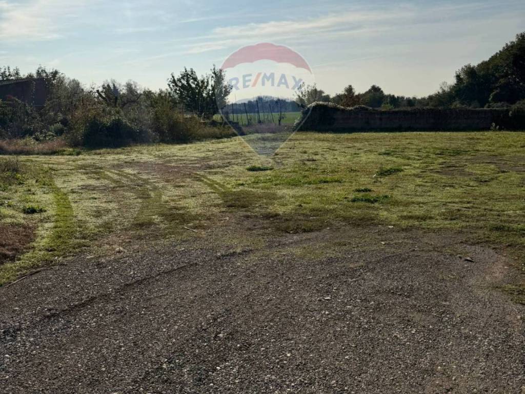 Terreno a Carinola in Località Starza contrada Santa Croce - Foto 2