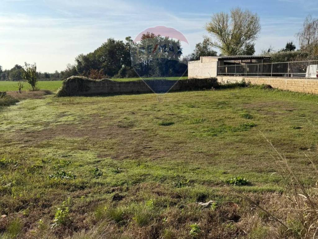 Terreno a Carinola in Località Starza contrada Santa Croce - Foto 3