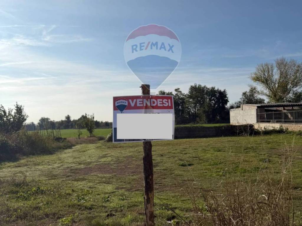 Terreno a Carinola in Località Starza contrada Santa Croce - Foto 4