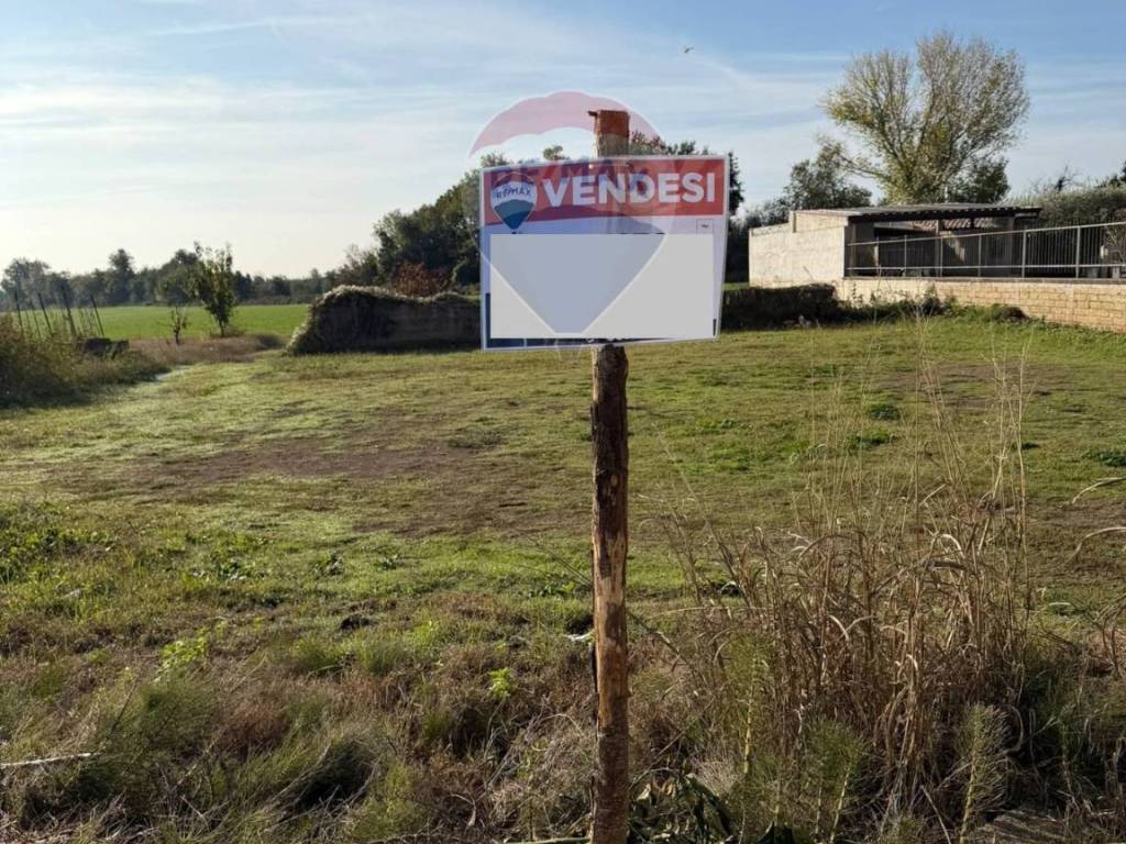 Terreno a Carinola in Località Starza contrada Santa Croce - Foto 5