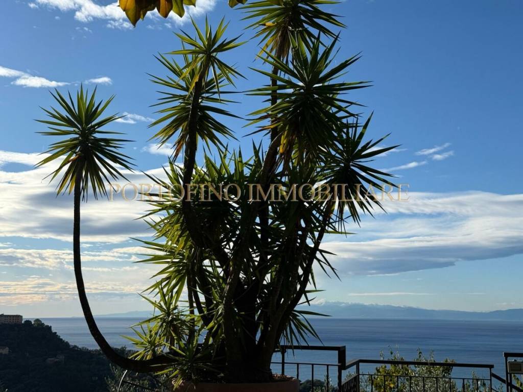 Rustico / casale a Camogli in Via Aurelia - Foto 5