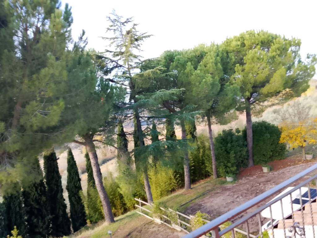 Rustico / casale a Montespertoli - Foto 4