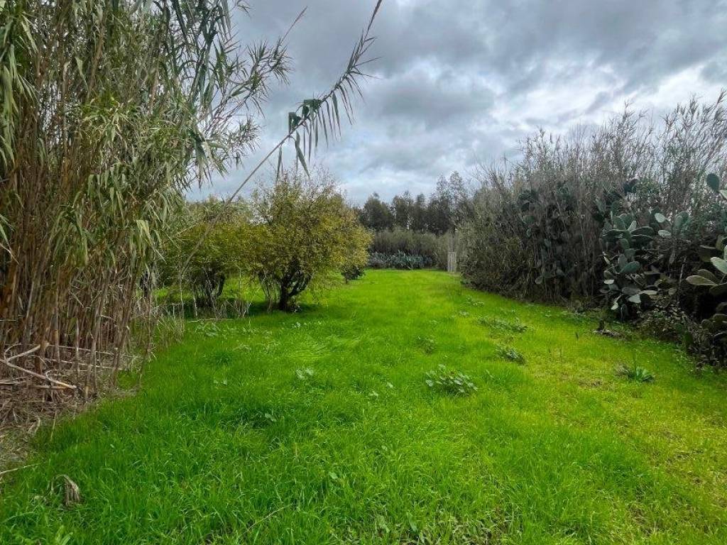 Casa indipendente a Arborea in Corso Italia - Foto 4