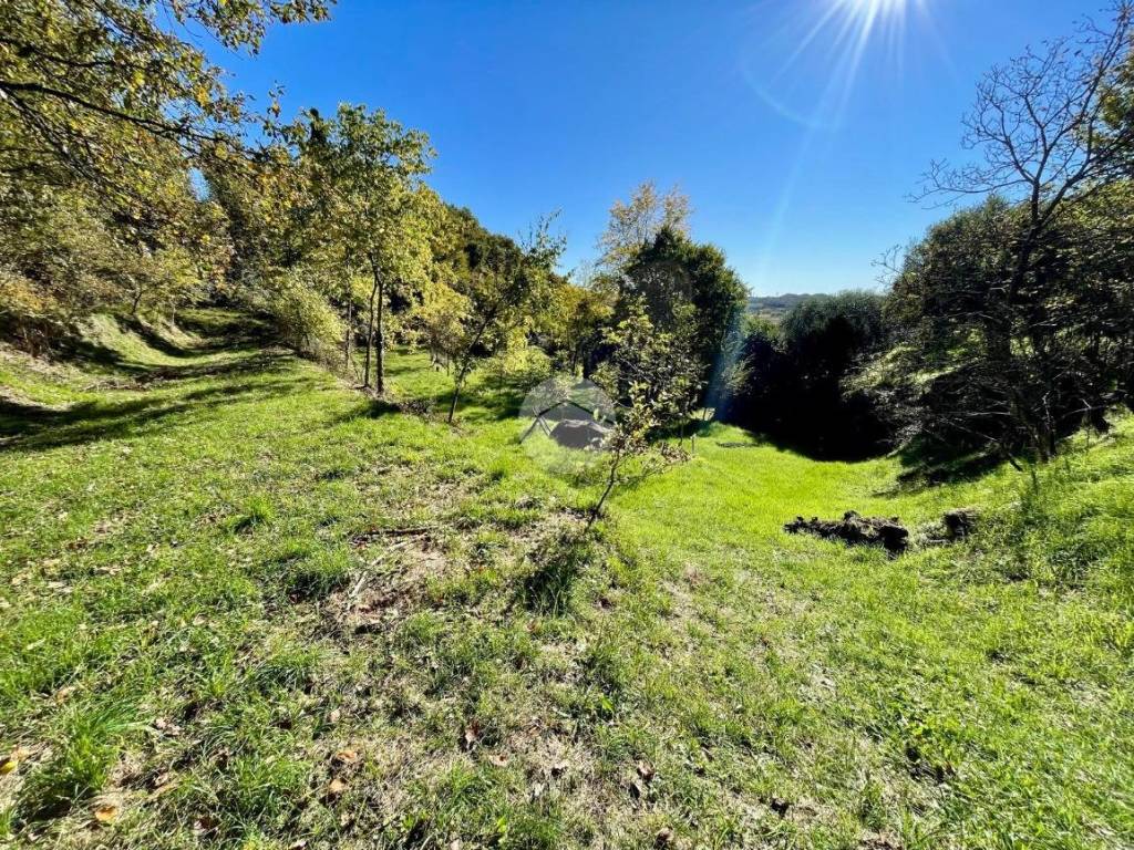 Terreno a Caprino veronese in Via Chignola, 174 - Foto 4