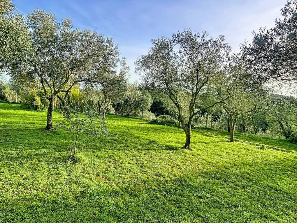 Casa indipendente a Sassari in Strada Vicinale Li Buttangari - Foto 3