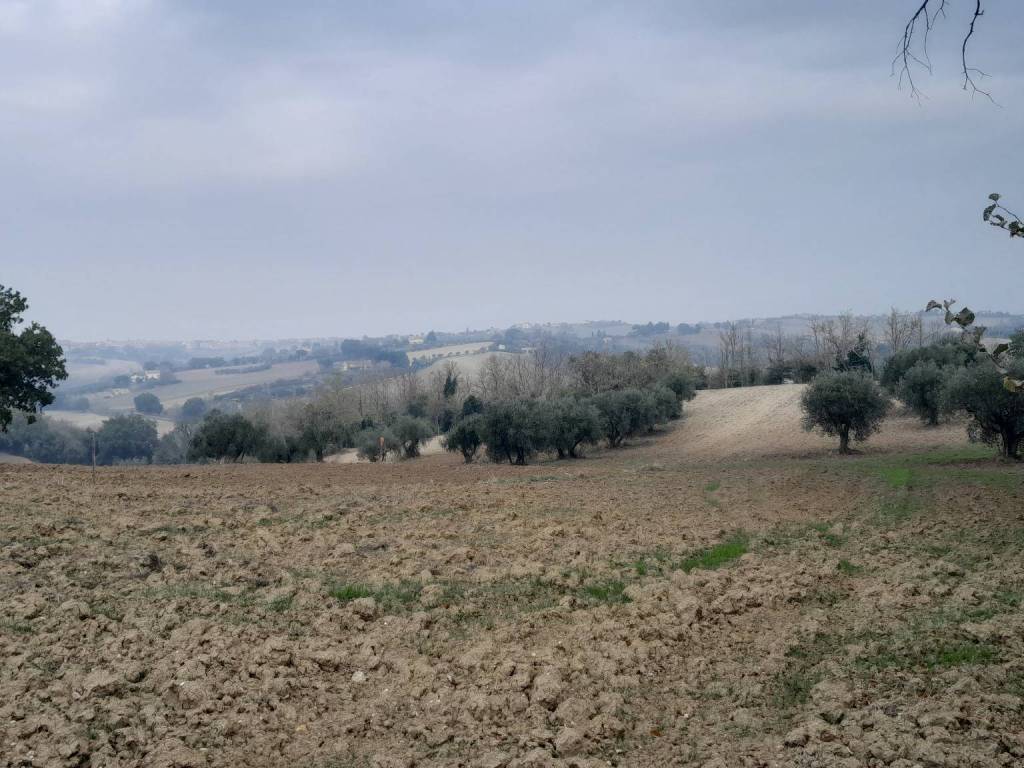 Terreno a San costanzo - Foto 2