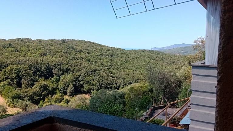 Appartamento a Capalbio - Foto 5