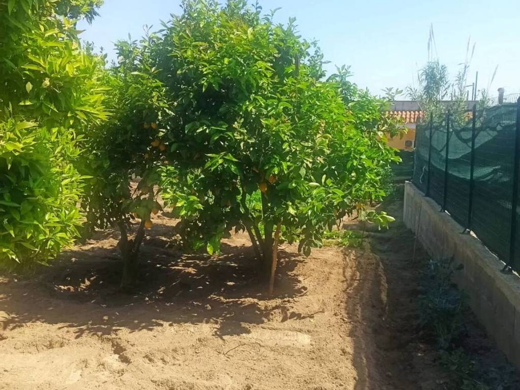 Terreno a Bacoli - Foto 3