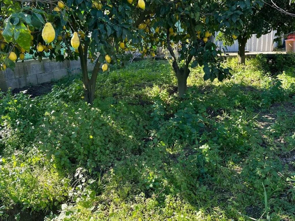 Terreno a Bacoli - Foto 5