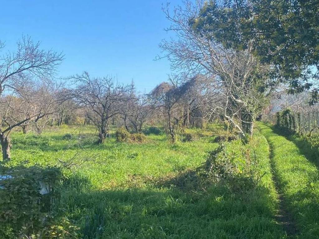 Terreno a Giugliano in campania - Foto 2