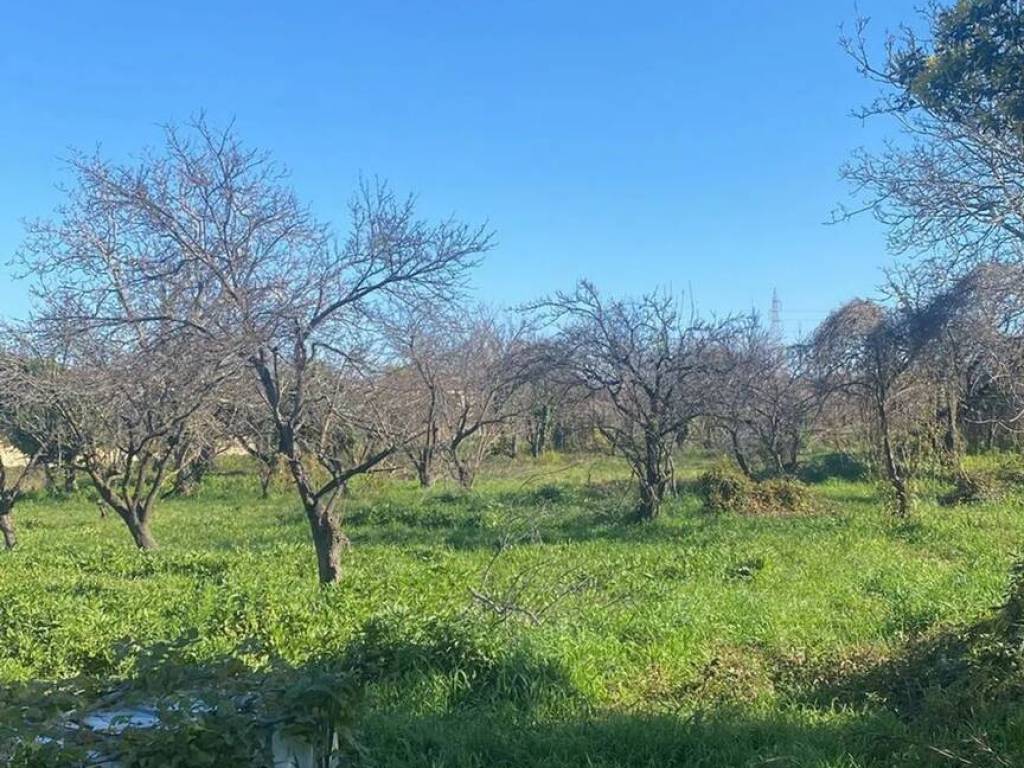 Terreno a Giugliano in campania - Foto 4