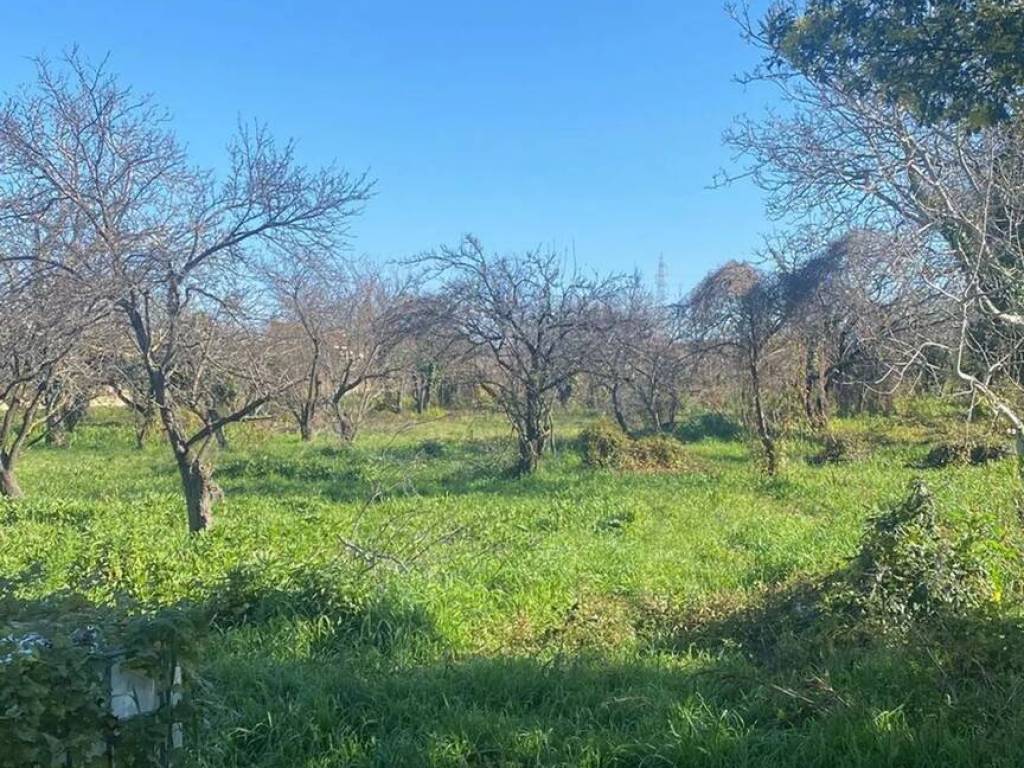 Terreno a Giugliano in campania - Foto 5
