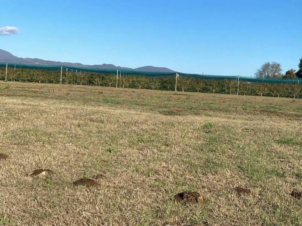 Terreno a Caserta in Via Santa Croce No Number - Foto 2