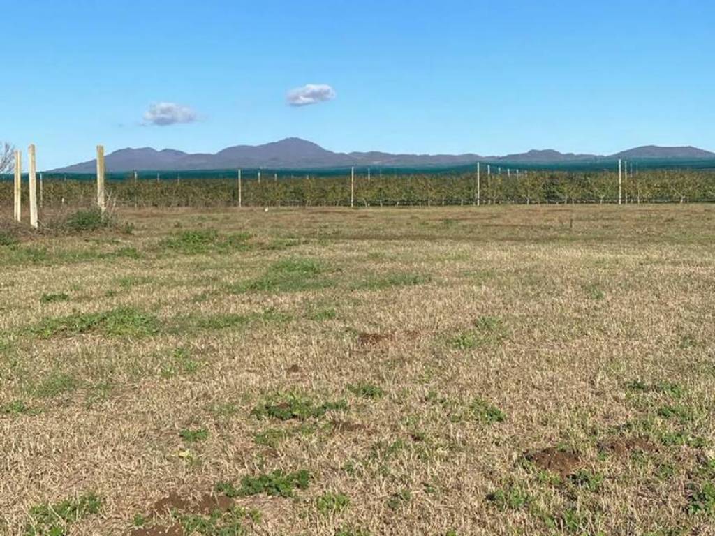 Terreno a Caserta in Via Santa Croce No Number - Foto 3