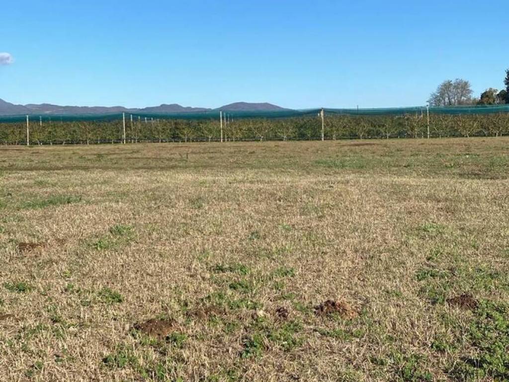 Terreno a Caserta in Via Santa Croce No Number - Foto 4