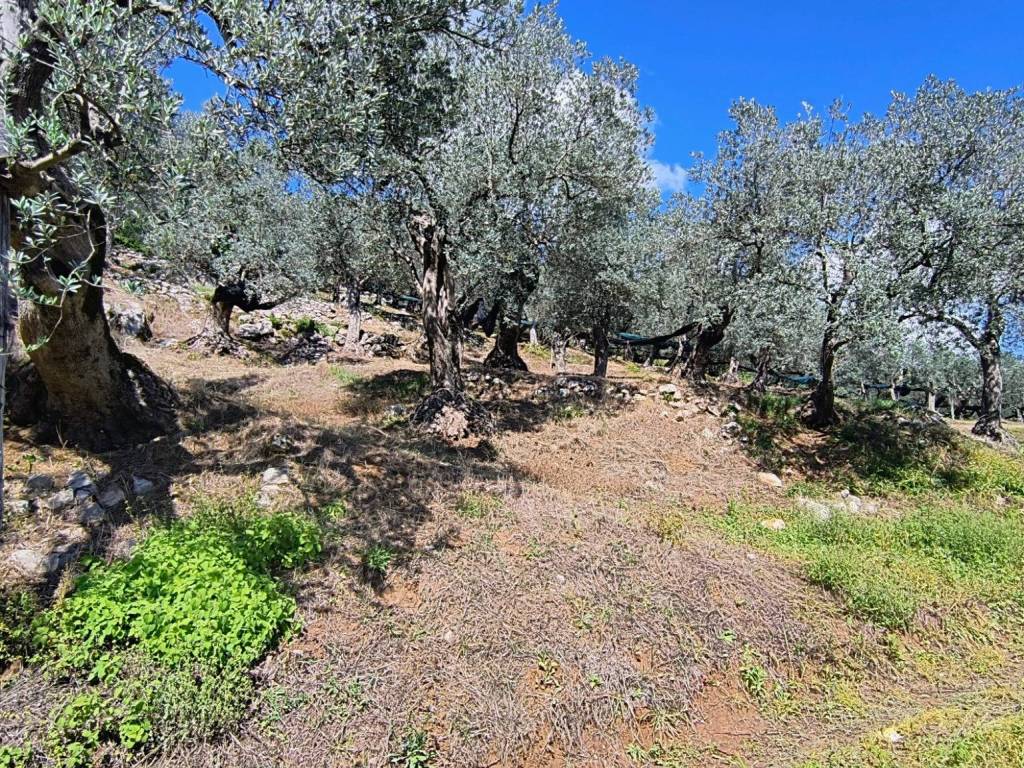 Terreno a Giffoni valle piana in Via Terravecchia - Foto 5