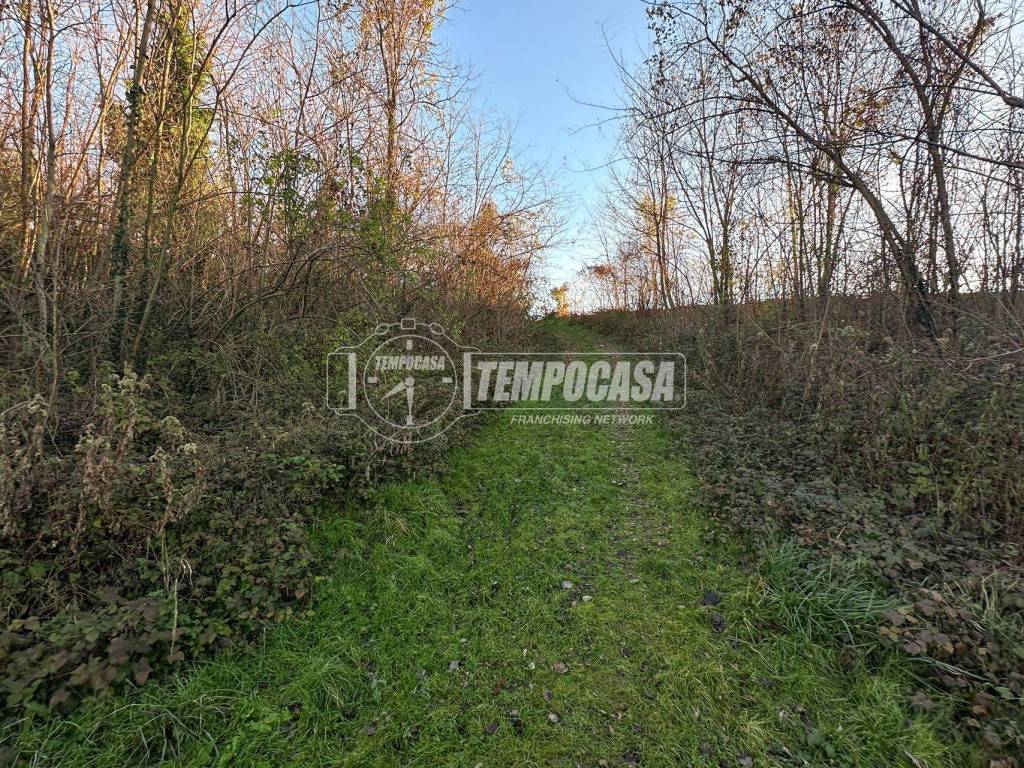 Terreno a Rosta in via Bagio di sopra 1 - Foto 4