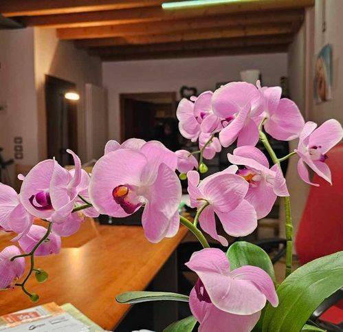 Immobile a Belluno in Via Giuseppe Garibaldi - Foto 2