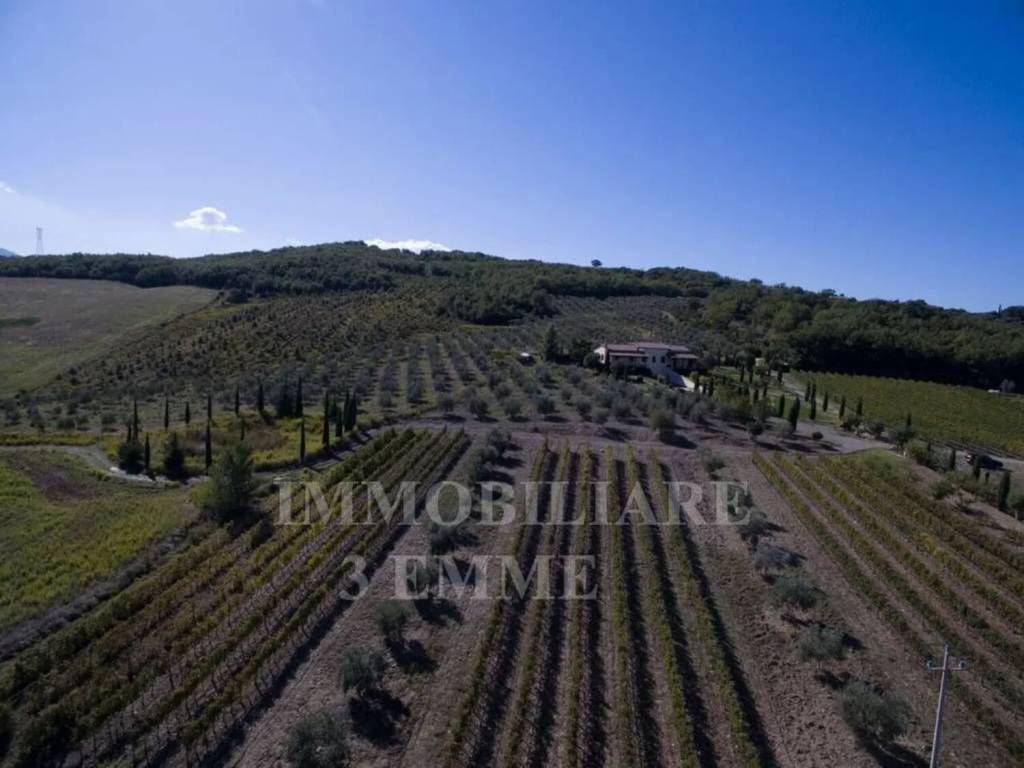 Immobile a Castel del piano in Consorzio Stradale Montenero, 273 - Foto 3