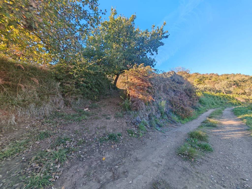 Terreno a Caserta in Via Giuseppe Mirri - Foto 3